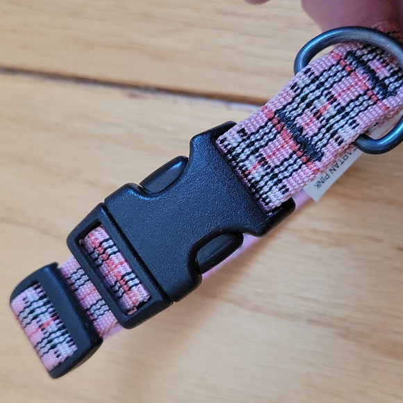 Dog collars, set of 4 - Picture 5 of 7